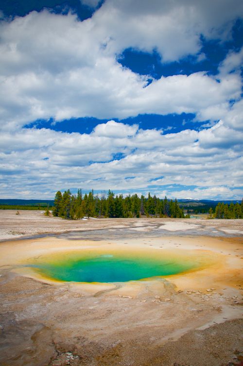 Free A vibrant hot spring in Yellowstone with vivid colors and a mesmerizing natural landscape. Stock Photo