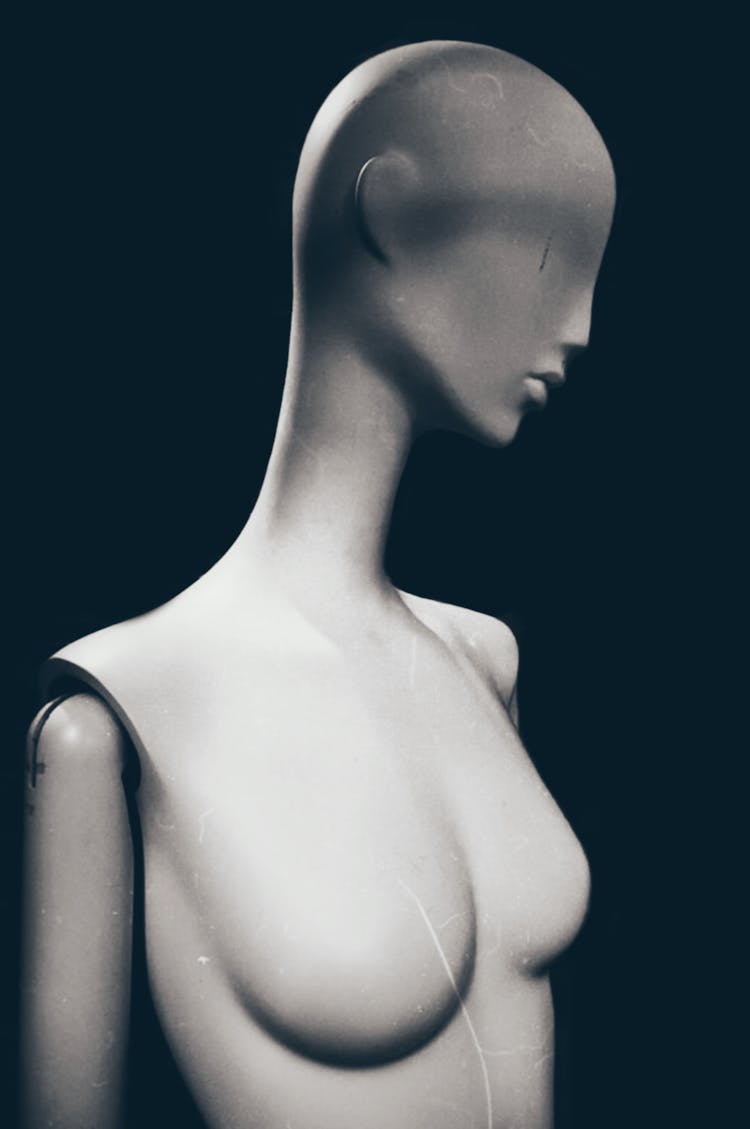 Mannequin With Head