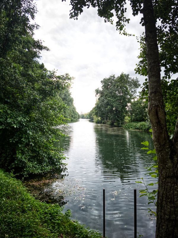 Canal paisible bordé d'arbres luxuriants sous un ciel nuageux