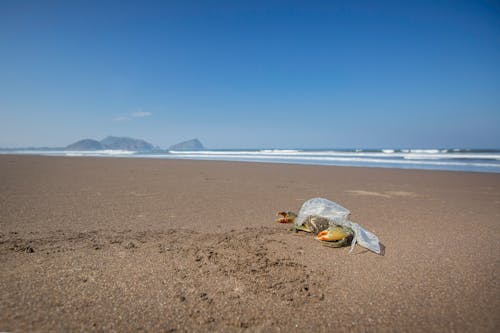 Ücretsiz çöp, deniz, deniz manzarası içeren Ücretsiz stok fotoğraf Stok Fotoğraflar