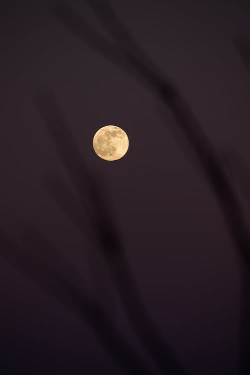 Full Moon in the Night Sky