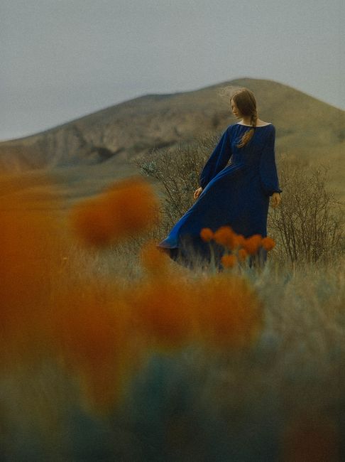 A woman in a blue dress walks through a meadow with flowers, set against a mountain backdrop.