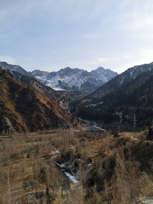 Free Breathtaking view of snowcapped mountains in a serene valley with scattered trees and a flowing river. Stock Photo