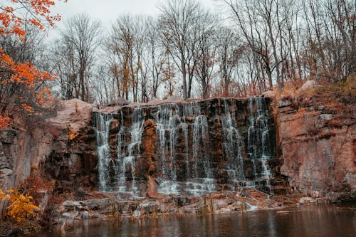 Бесплатное стоковое фото с ветви, вода, водопад