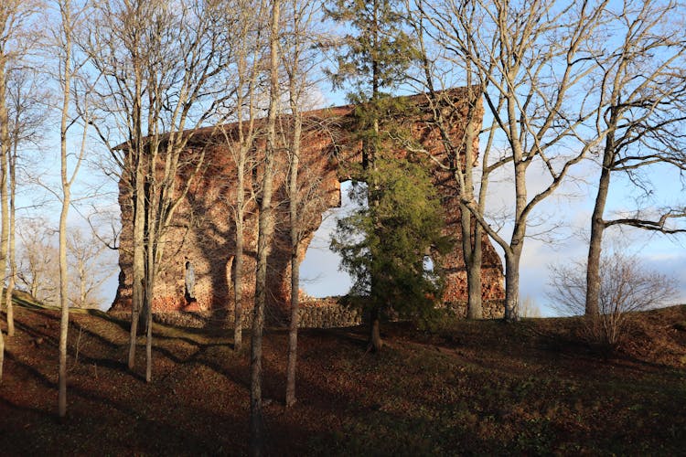 Castle Ruins In The Forest Surrounded By Trees.