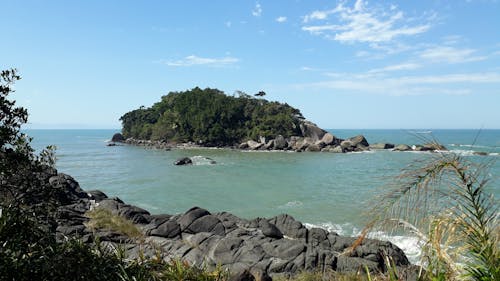 Immagine gratuita di acqua azzurra, alberi forestali, amante della spiaggia