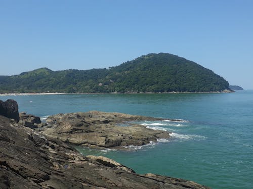 Immagine gratuita di acqua azzurra, alberi forestali, amante della spiaggia