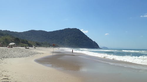 Immagine gratuita di acqua azzurra, alberi forestali, amante della spiaggia