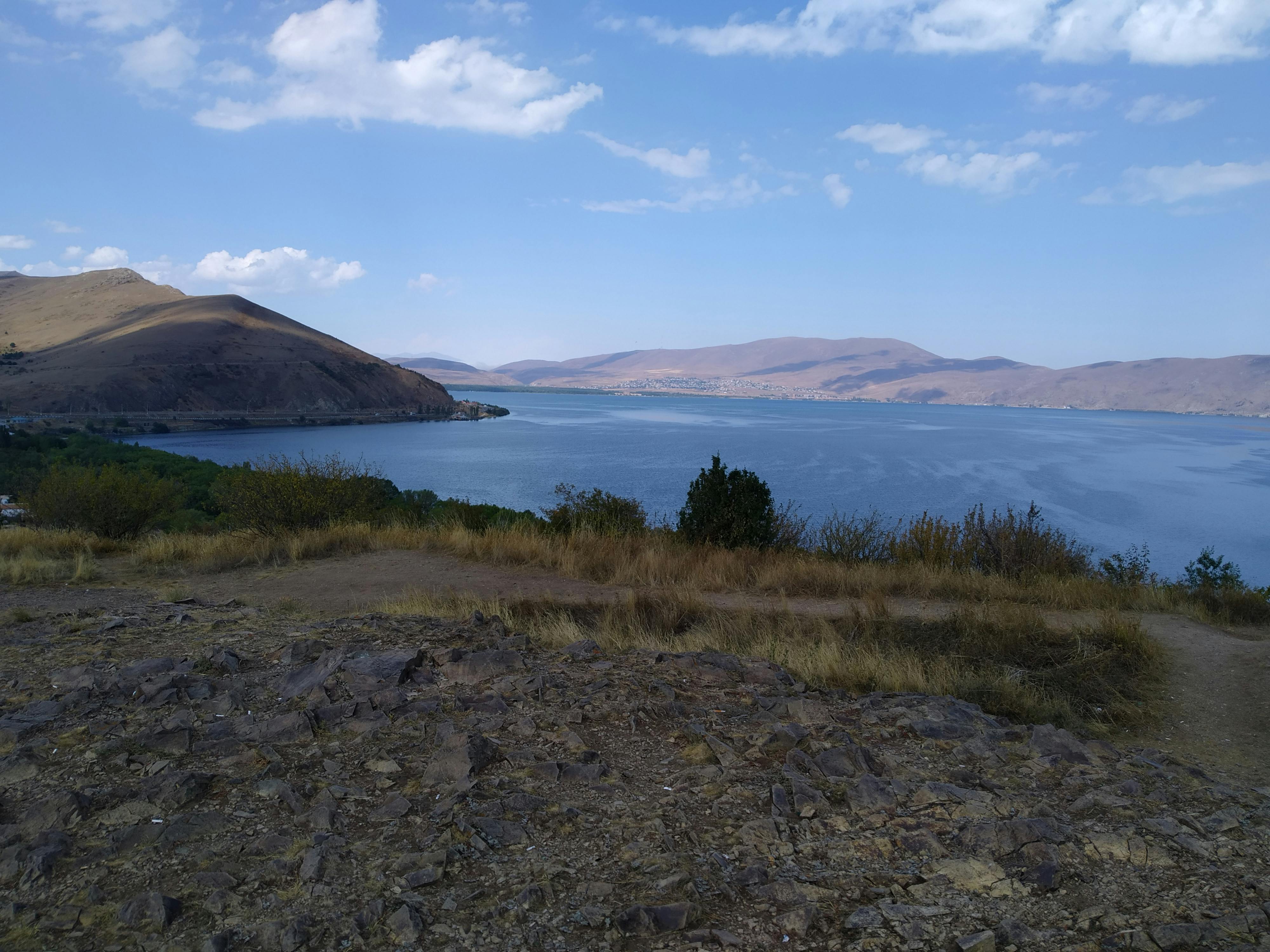 pexels-photo-10304968.jpeg?auto=compress&cs=tinysrgb&dpr=1&w=500