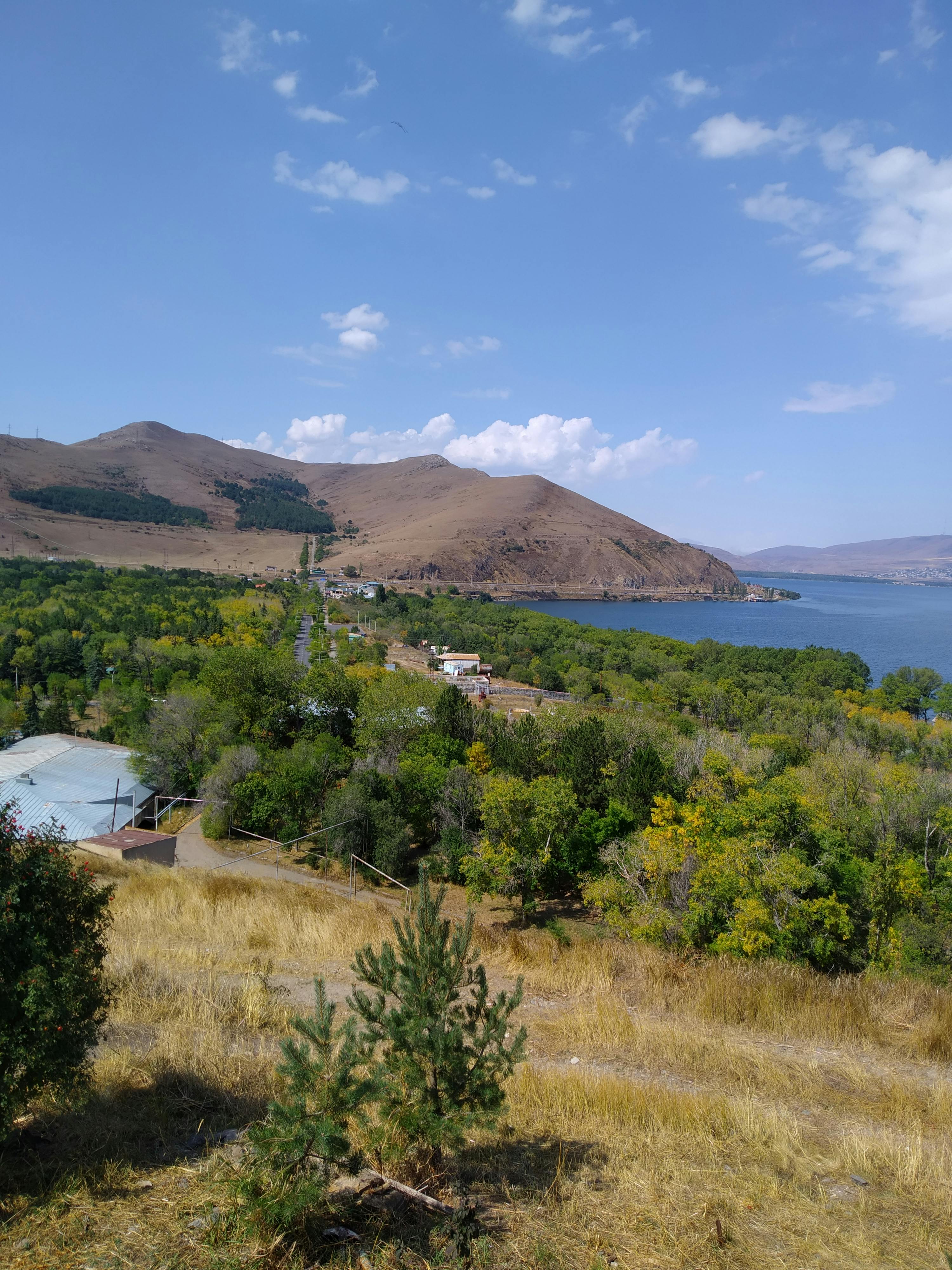 pexels-photo-10304975.jpeg?auto=compress&cs=tinysrgb&dpr=1&w=500