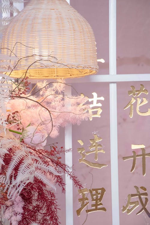 Free stock photo of beautiful plant, chinese characters, chinese lantern Stock Photo