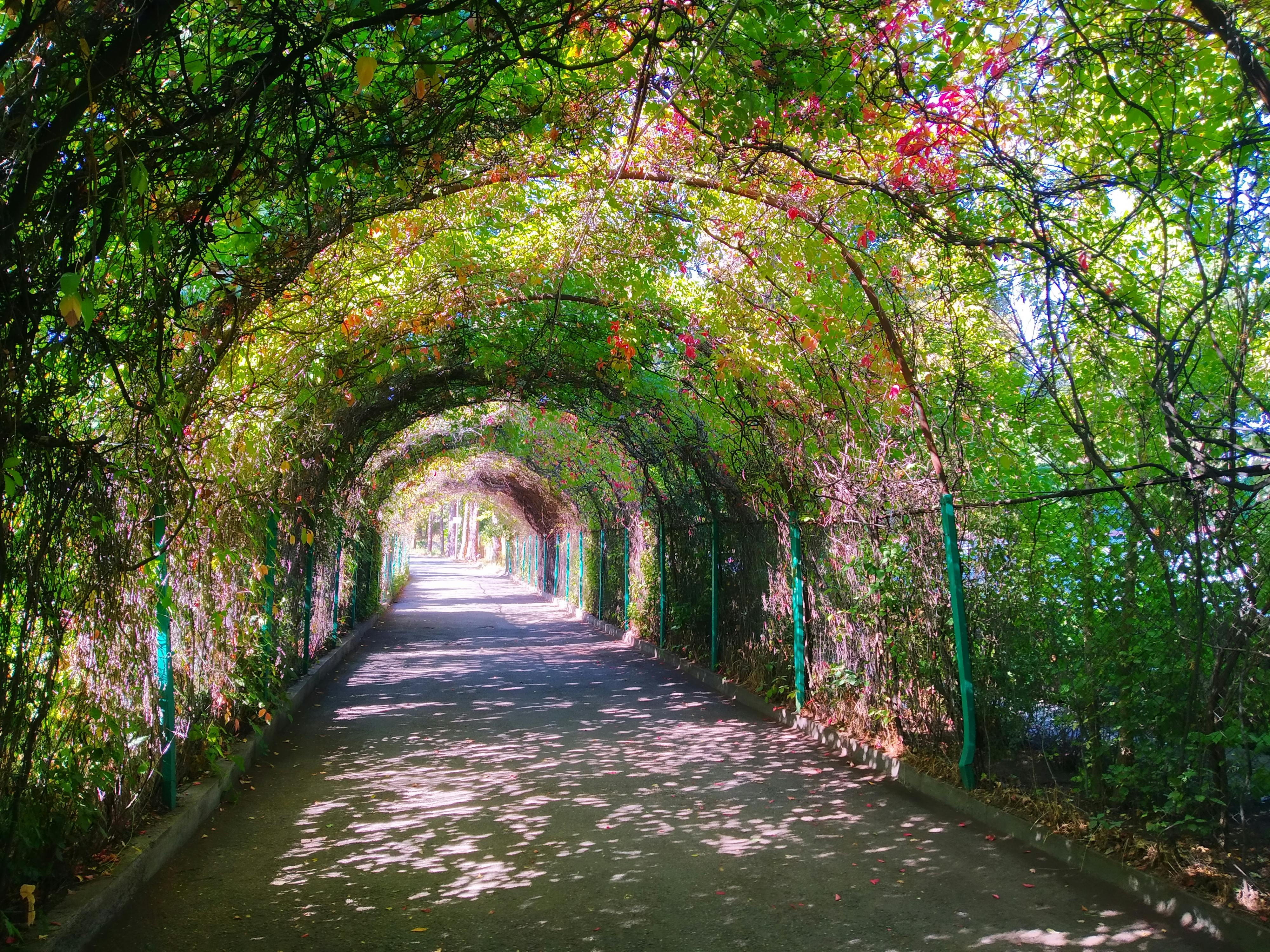 pexels-photo-10305132.jpeg?auto=compress&cs=tinysrgb&dpr=1&w=500