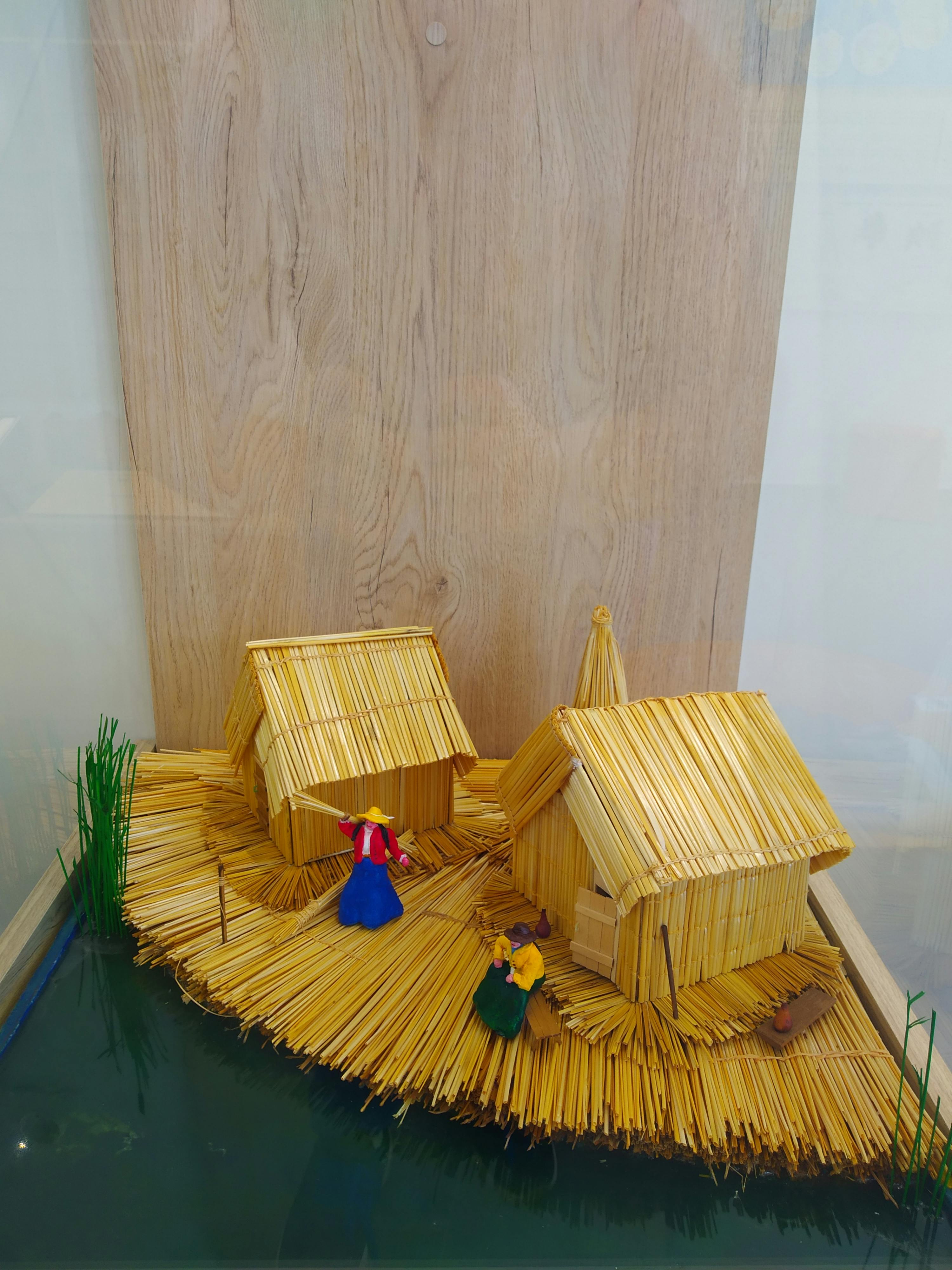 pexels-photo-10305160.jpeg?auto=compress&cs=tinysrgb&dpr=1&w=500