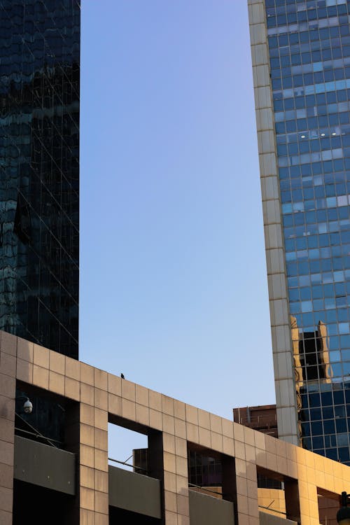 Concrete Buildings With Glass Panels