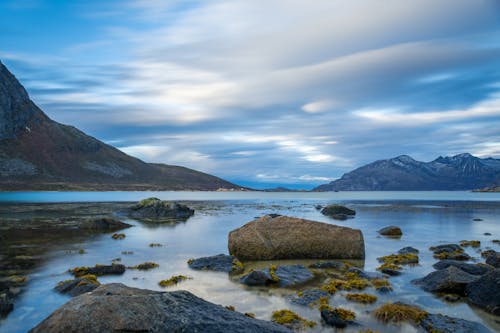 Brown Rocks with Green Seaweed on Body of Water