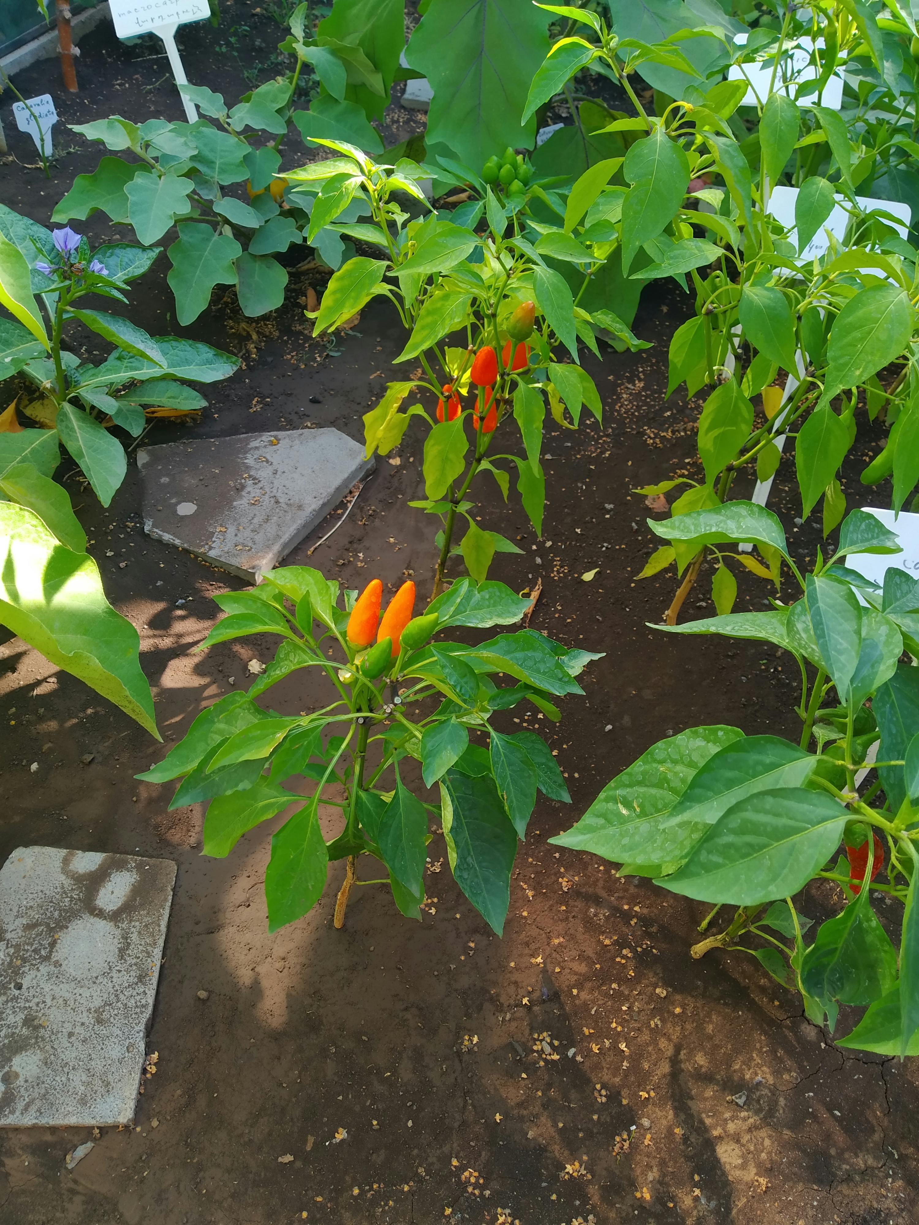 pexels-photo-10305676.jpeg?auto=compress&cs=tinysrgb&dpr=1&w=500