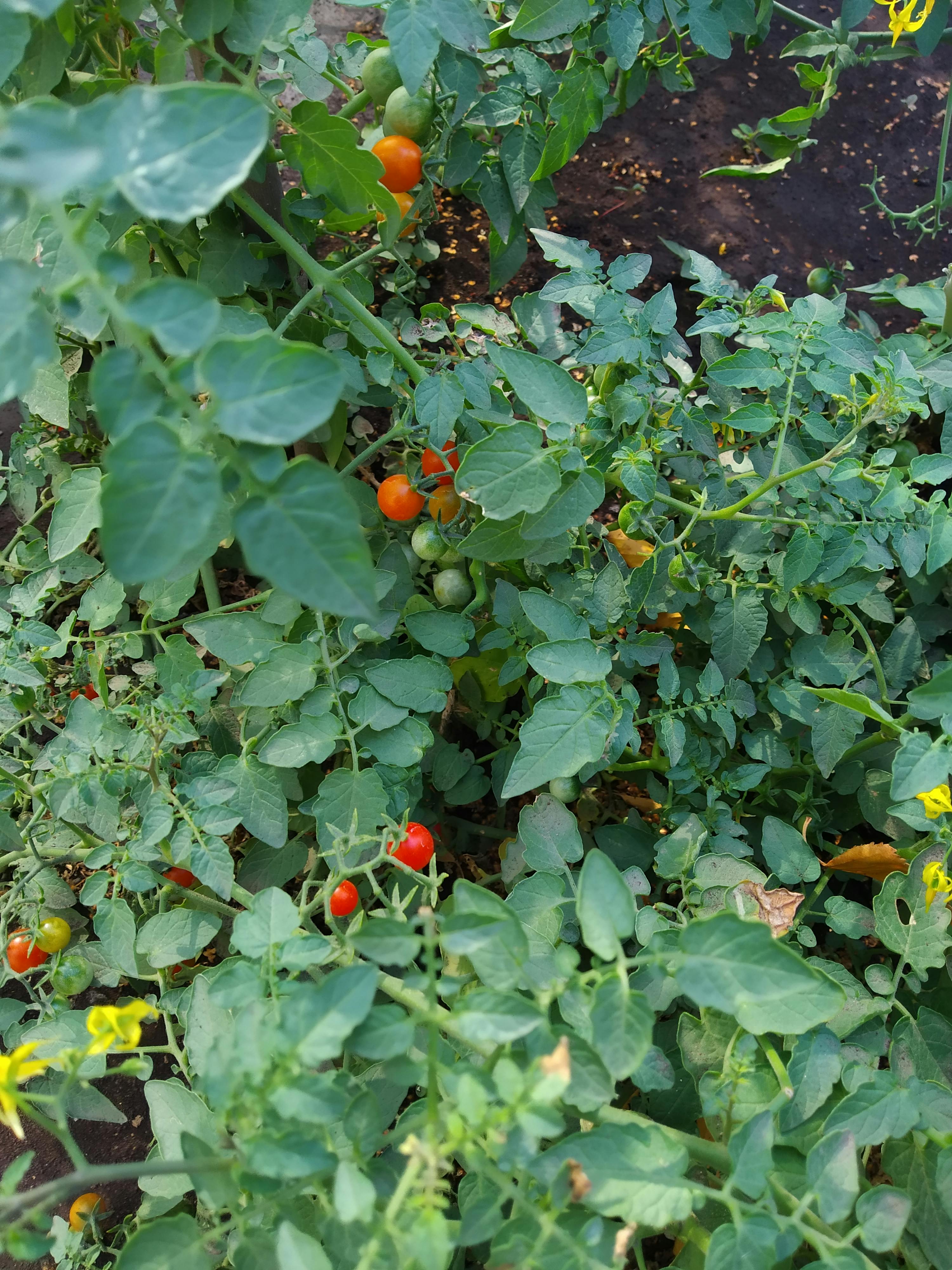 pexels-photo-10305677.jpeg?auto=compress&cs=tinysrgb&dpr=1&w=500