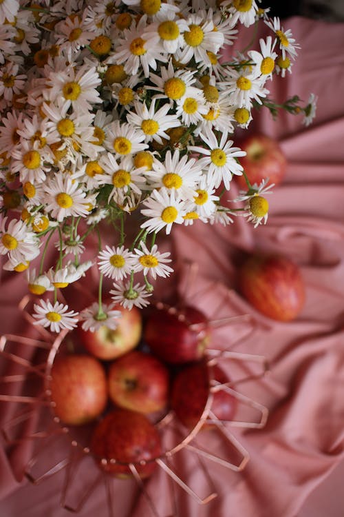 Top View of a Daisy Flowers and Apples