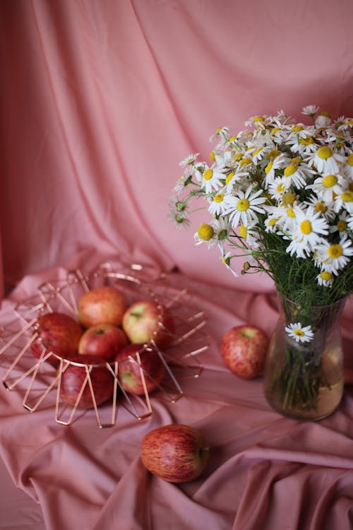 Photo of a Vase with Daisy Flowers Near Red Apples