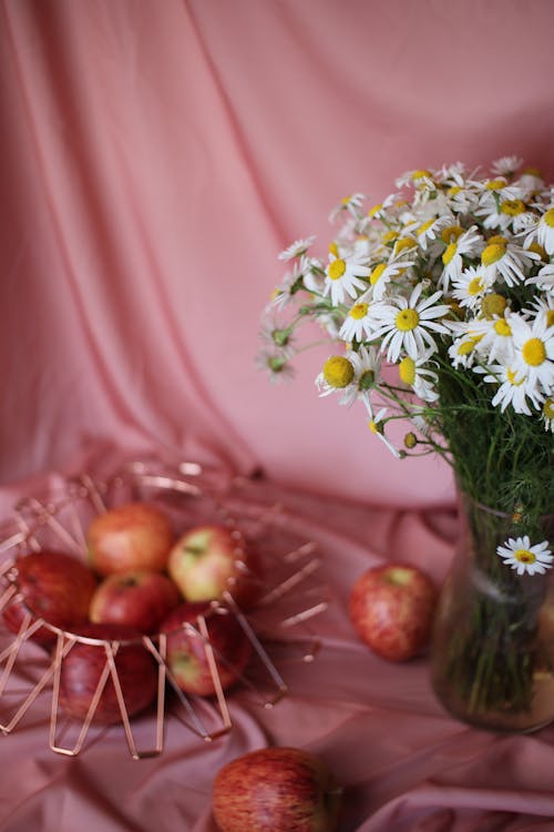 Photo of White Daisies Near Apples