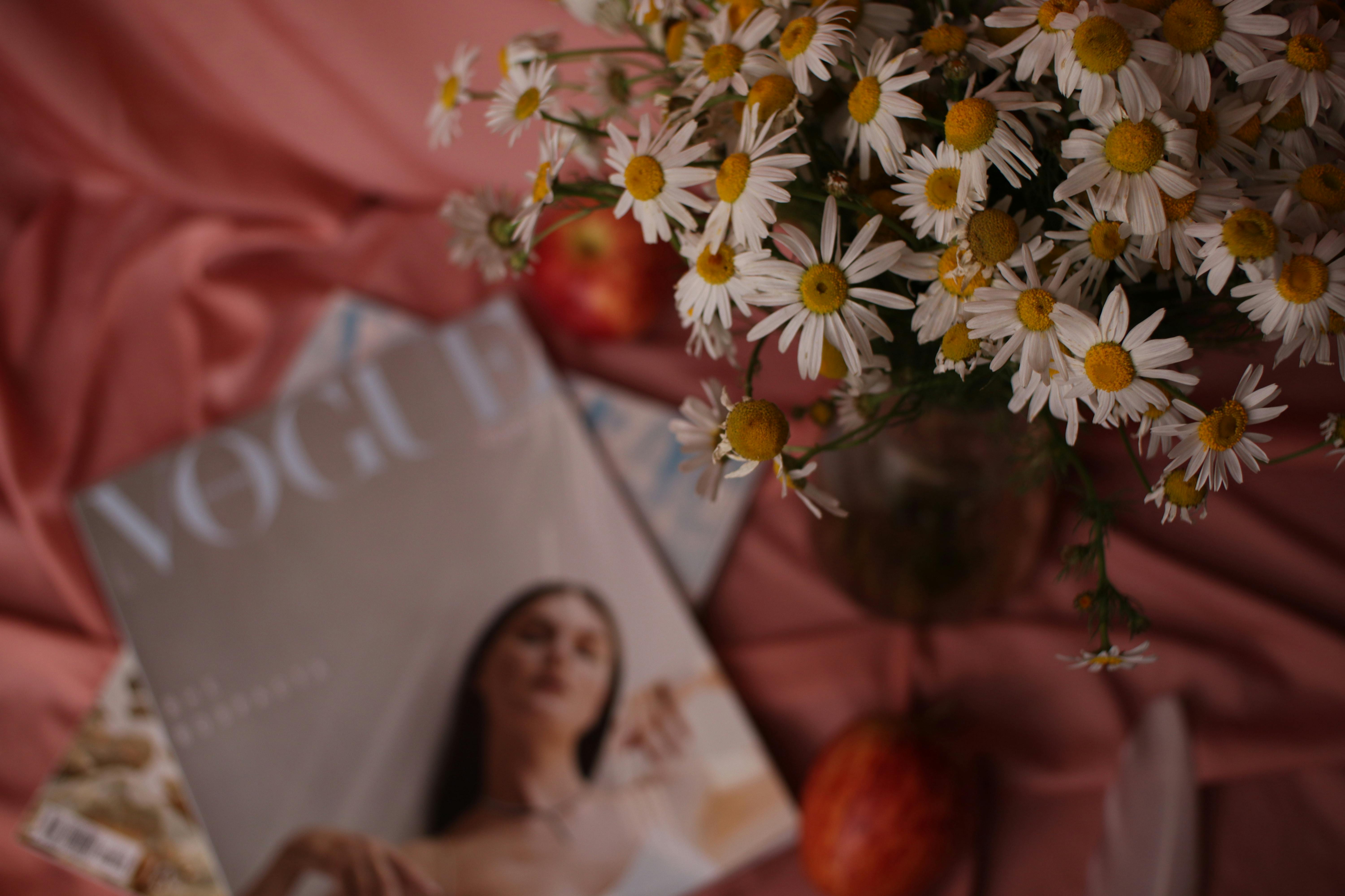 lifestyle magazine examples — Photo by Леся Терехова on Pexels