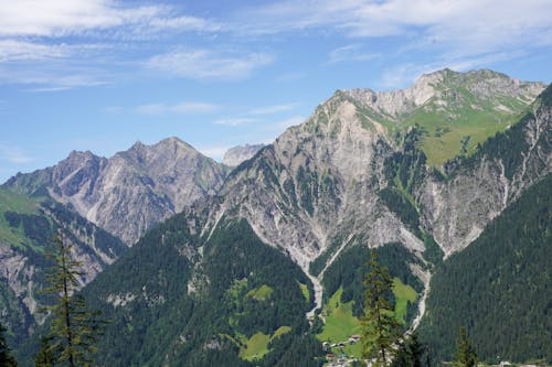 Green Trees and Snow on Mountain Under Blue Sky