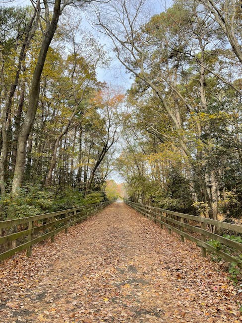 Scenic hiking trail in Delaware