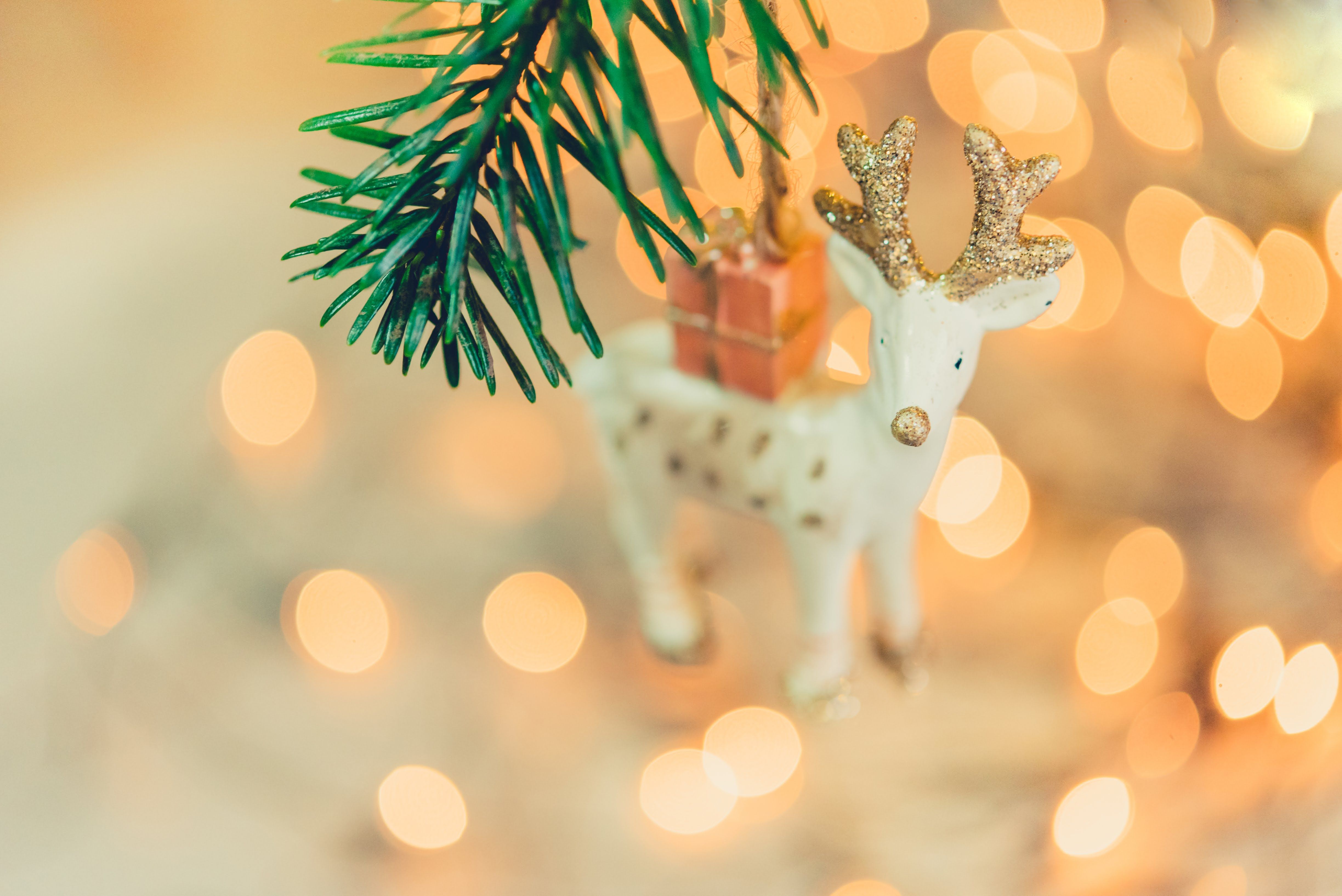 Hobbycraft launches Christmas deals with major savings on kids craft kits — Photo by Lara Farber on Pexels