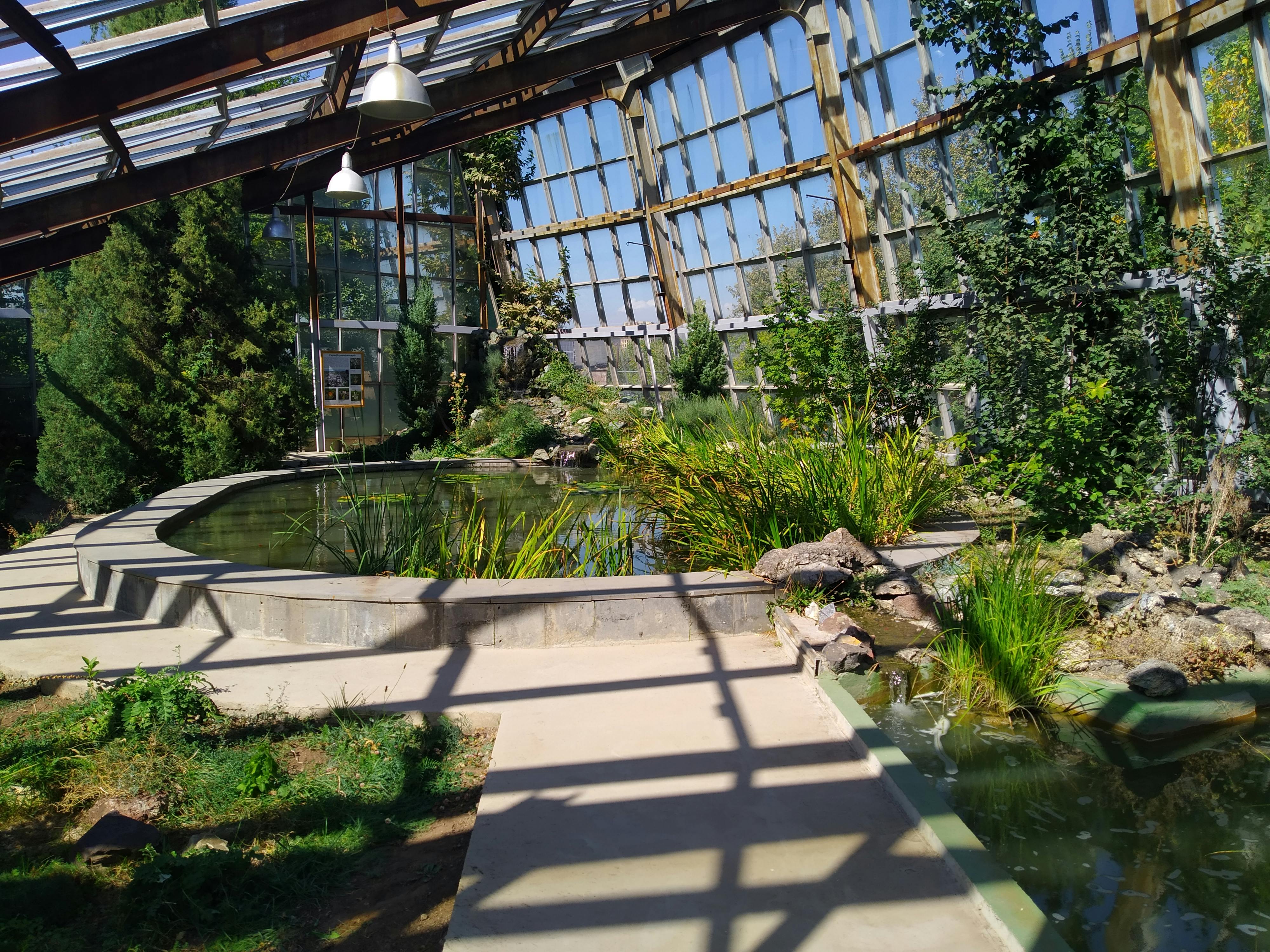 pexels-photo-10307319.jpeg?auto=compress&cs=tinysrgb&dpr=1&w=500