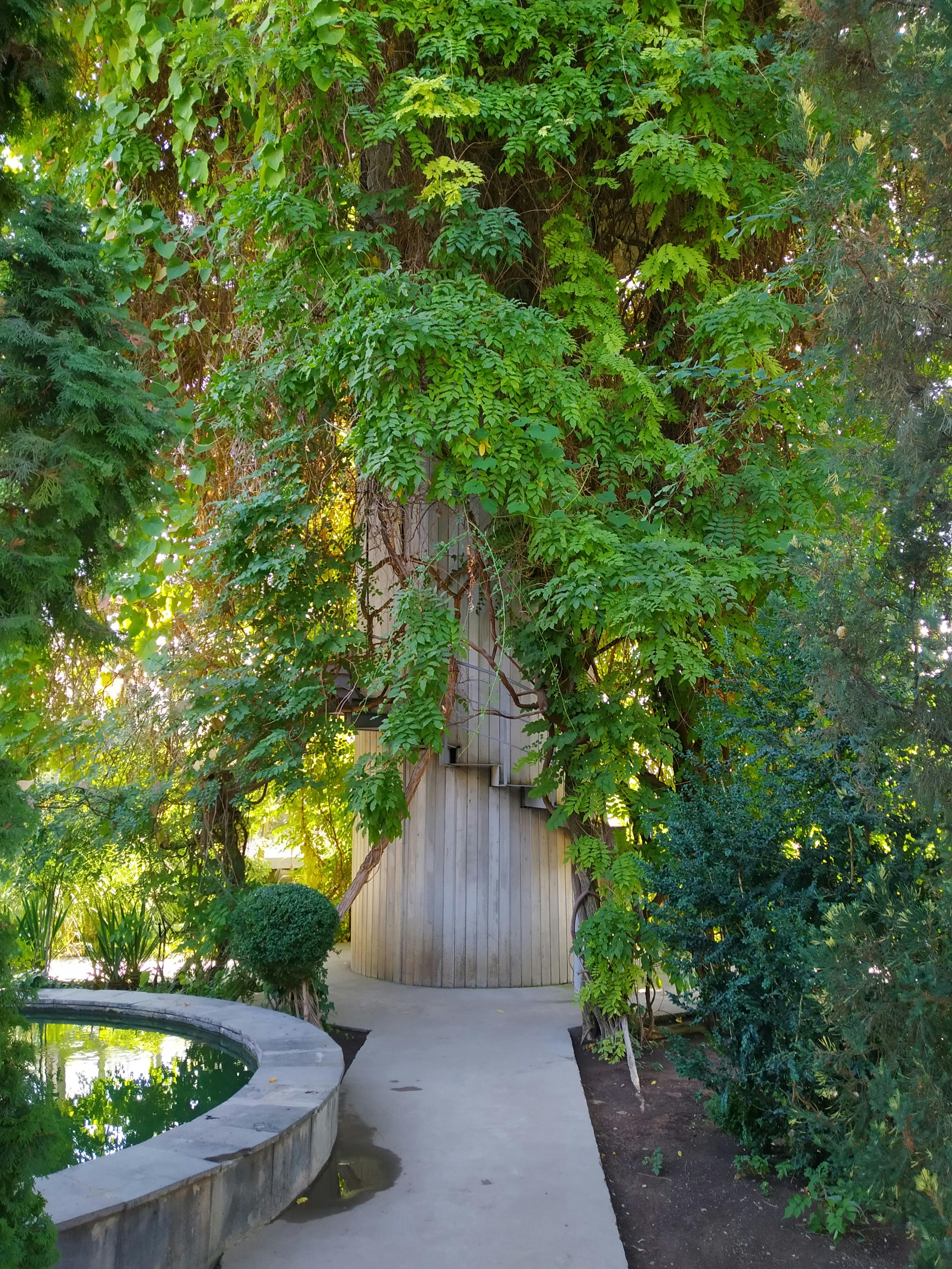 pexels-photo-10307320.jpeg?auto=compress&cs=tinysrgb&dpr=2&h=750&w=1260