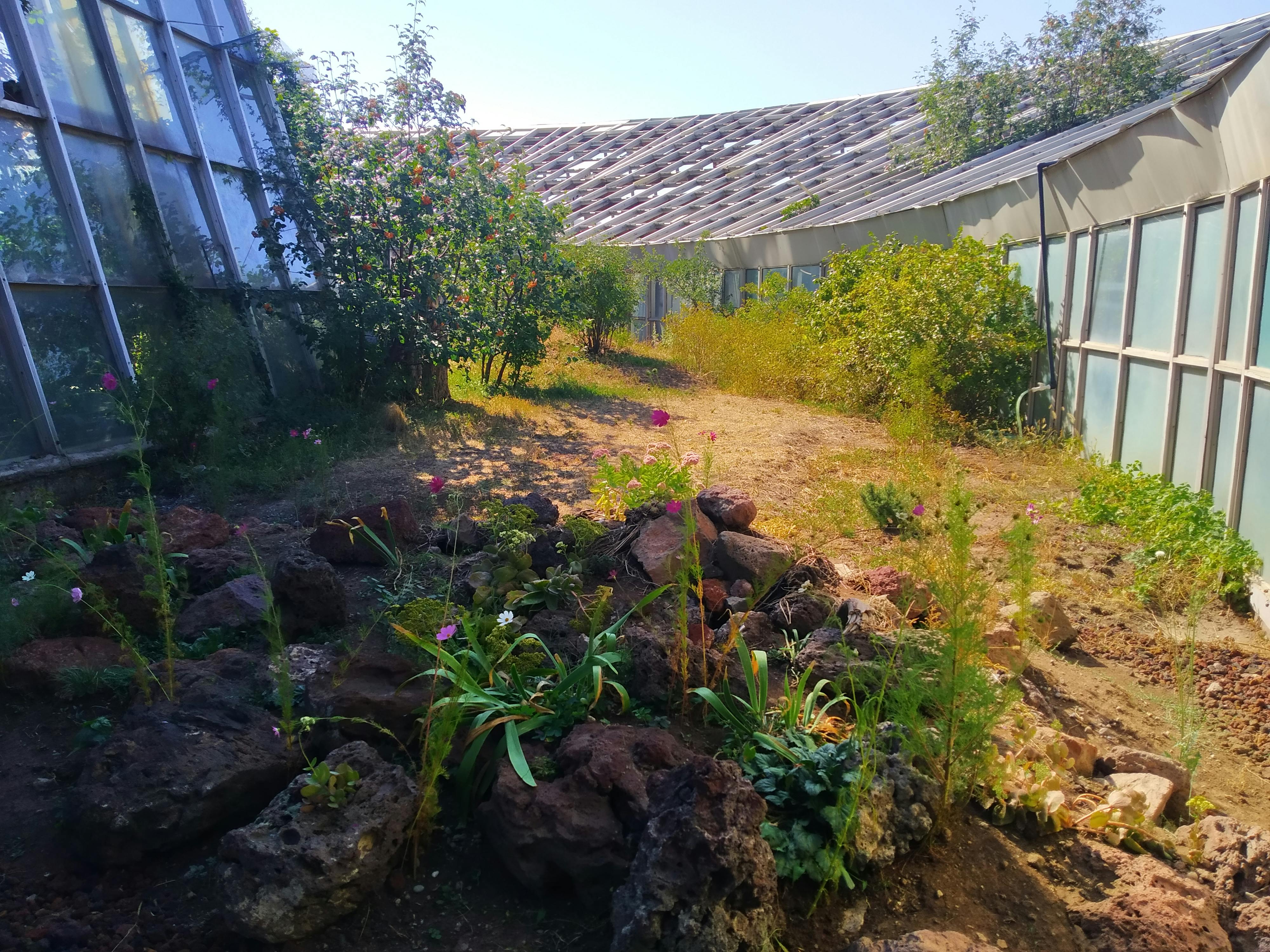 pexels-photo-10307322.jpeg?auto=compress&cs=tinysrgb&dpr=1&w=500