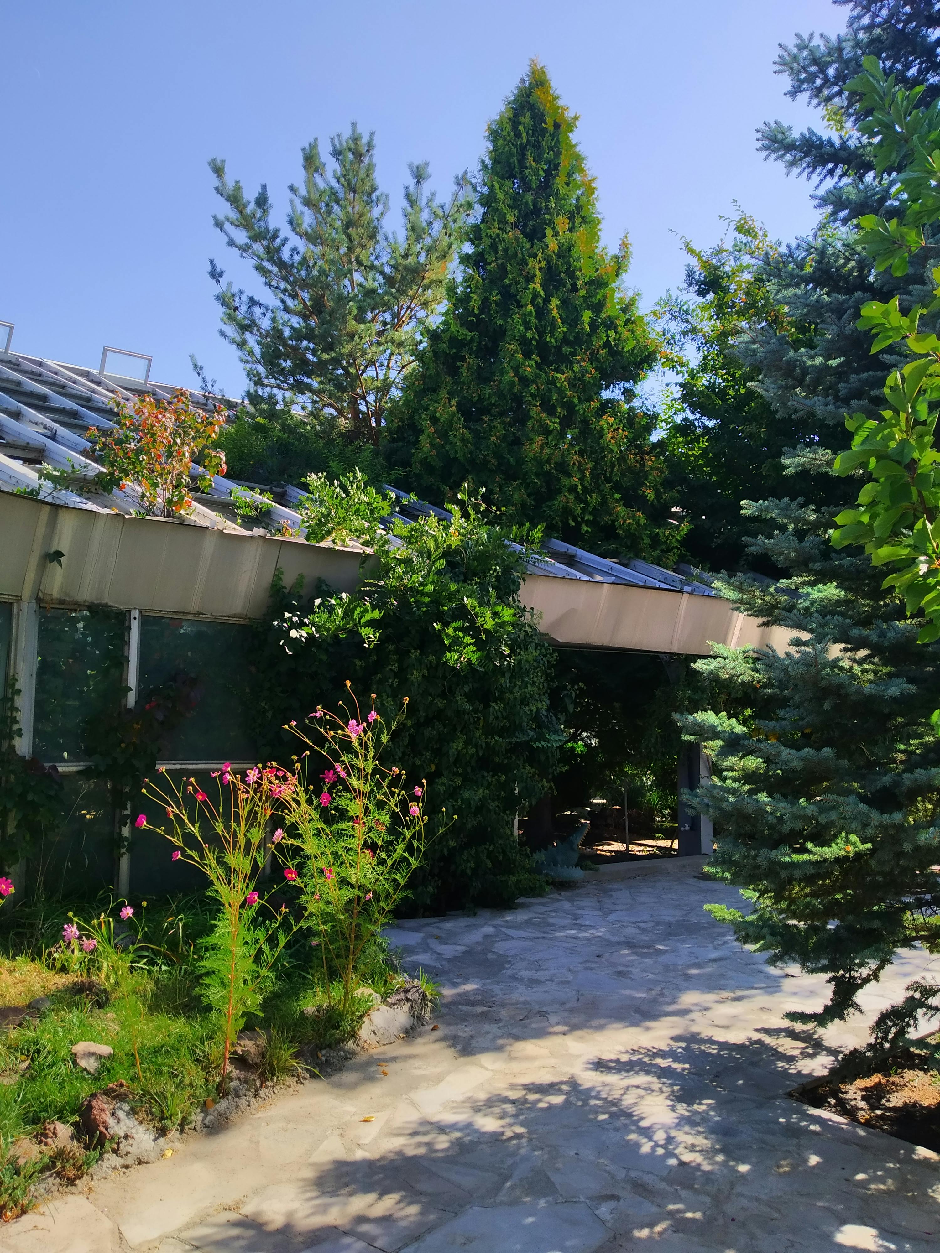 pexels-photo-10307323.jpeg?auto=compress&cs=tinysrgb&dpr=1&w=500