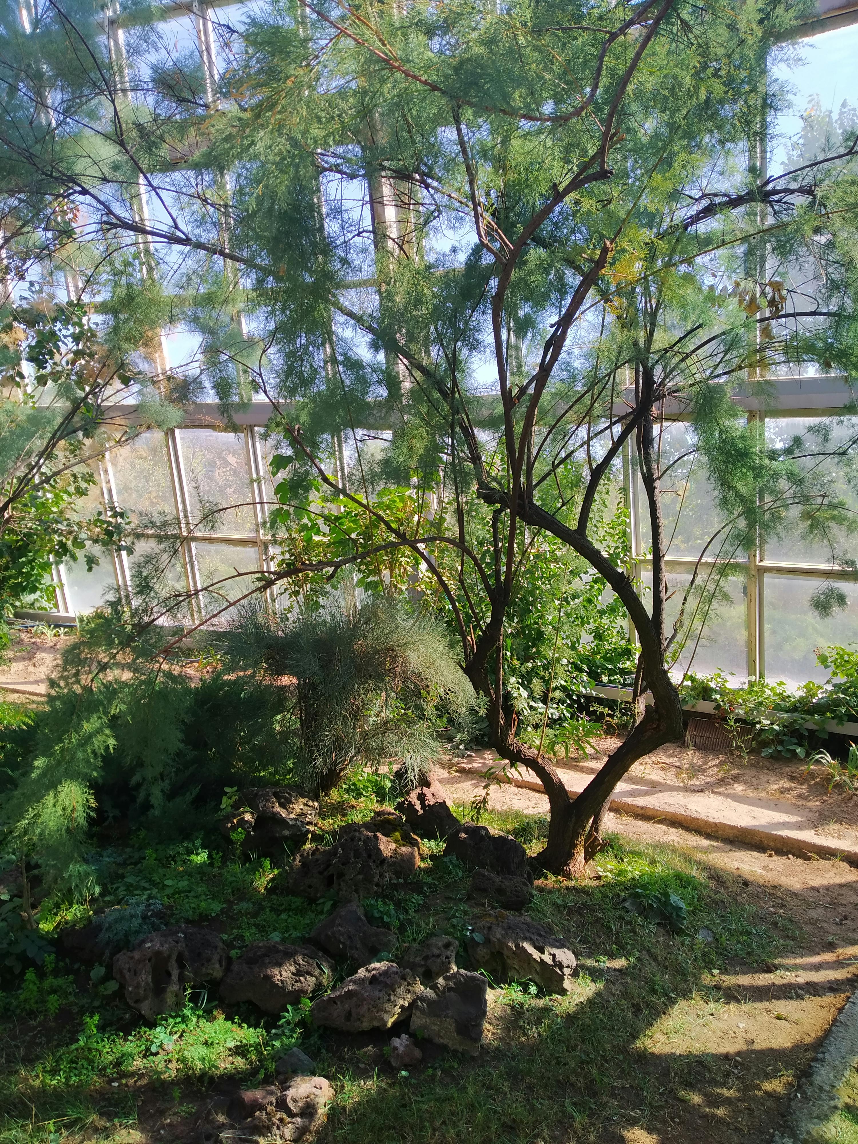 pexels-photo-10307324.jpeg?auto=compress&cs=tinysrgb&dpr=2&h=750&w=1260