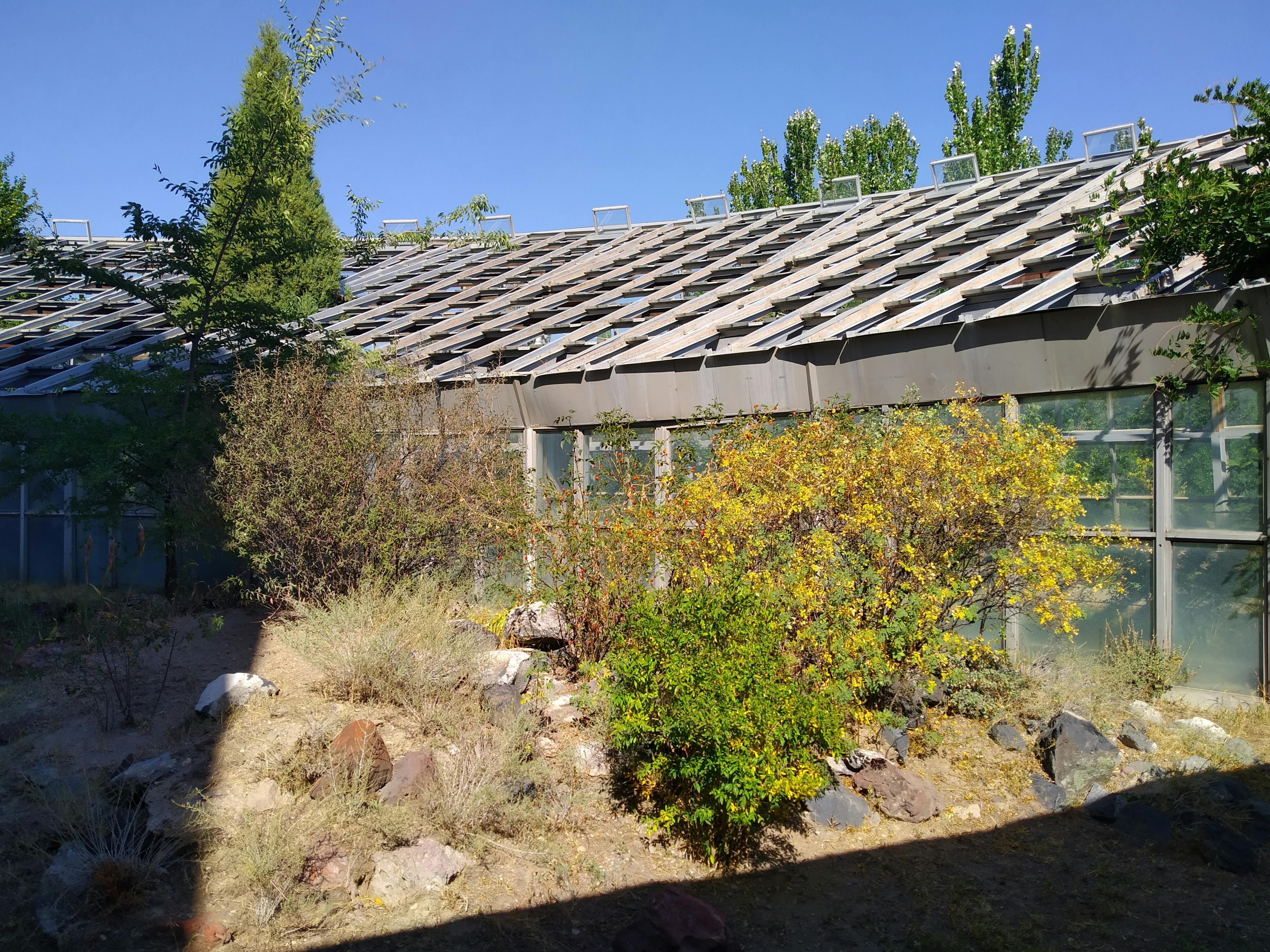 pexels-photo-10307325.jpeg?auto=compress&cs=tinysrgb&dpr=1&w=500