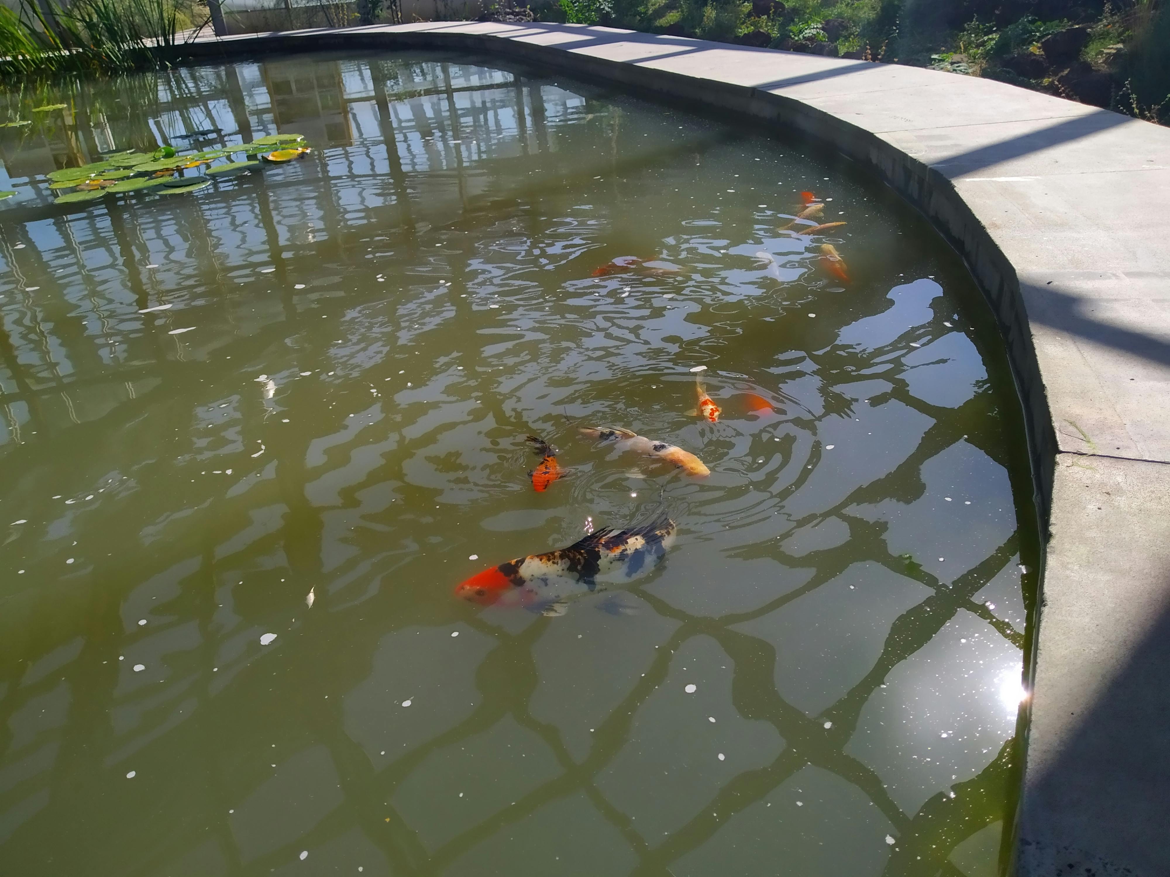 pexels-photo-10307373.jpeg?auto=compress&cs=tinysrgb&dpr=1&w=500