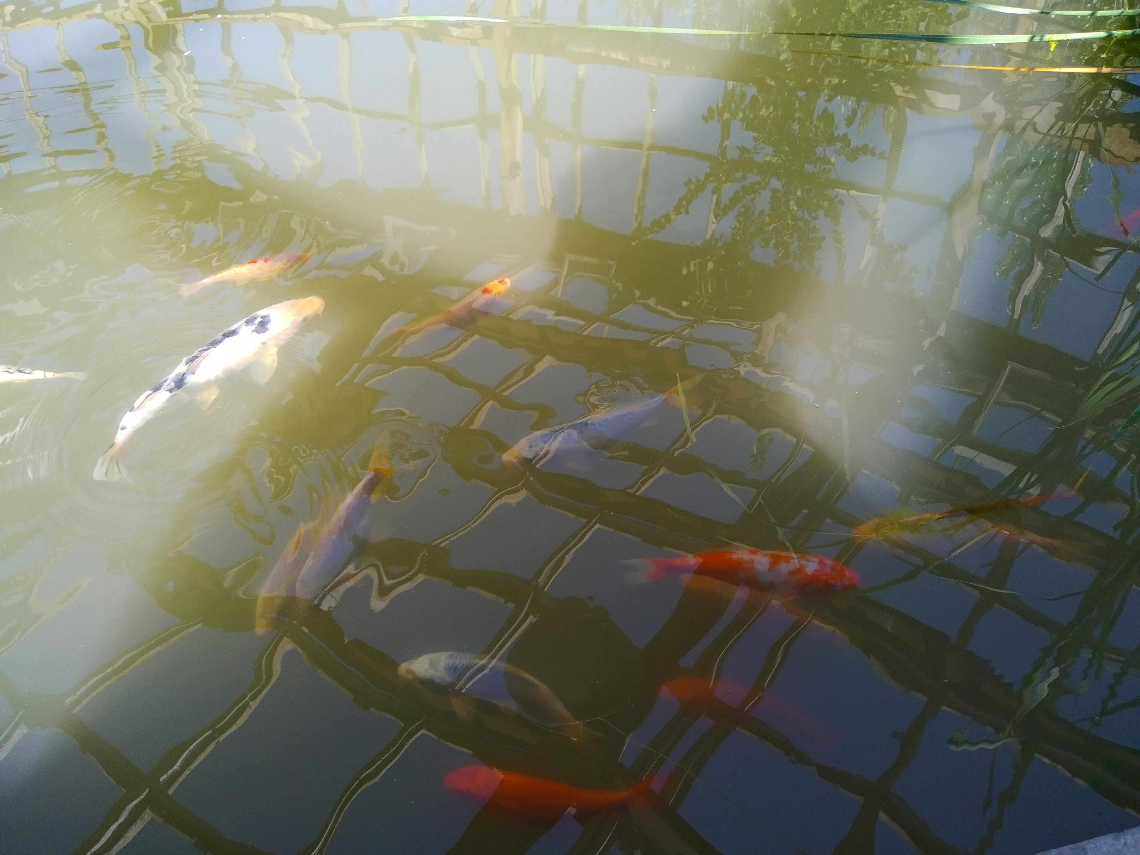 pexels-photo-10307374.jpeg?auto=compress&cs=tinysrgb&dpr=1&w=500