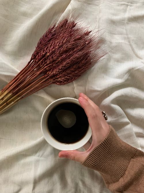 Free Overhead view of a coffee cup held in hand next to a bundle of wheat on a soft, light fabric. Stock Photo