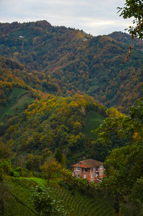 House on Mountain Area