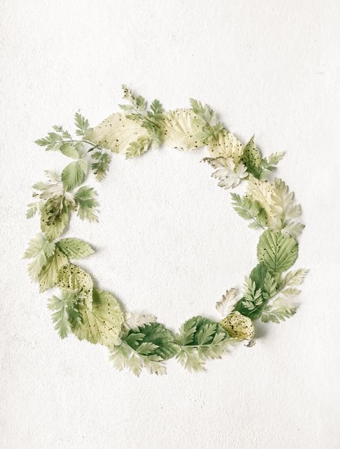 Minimalist flat lay of green leaf wreath on a textured white backdrop, perfect for nature-themed projects.