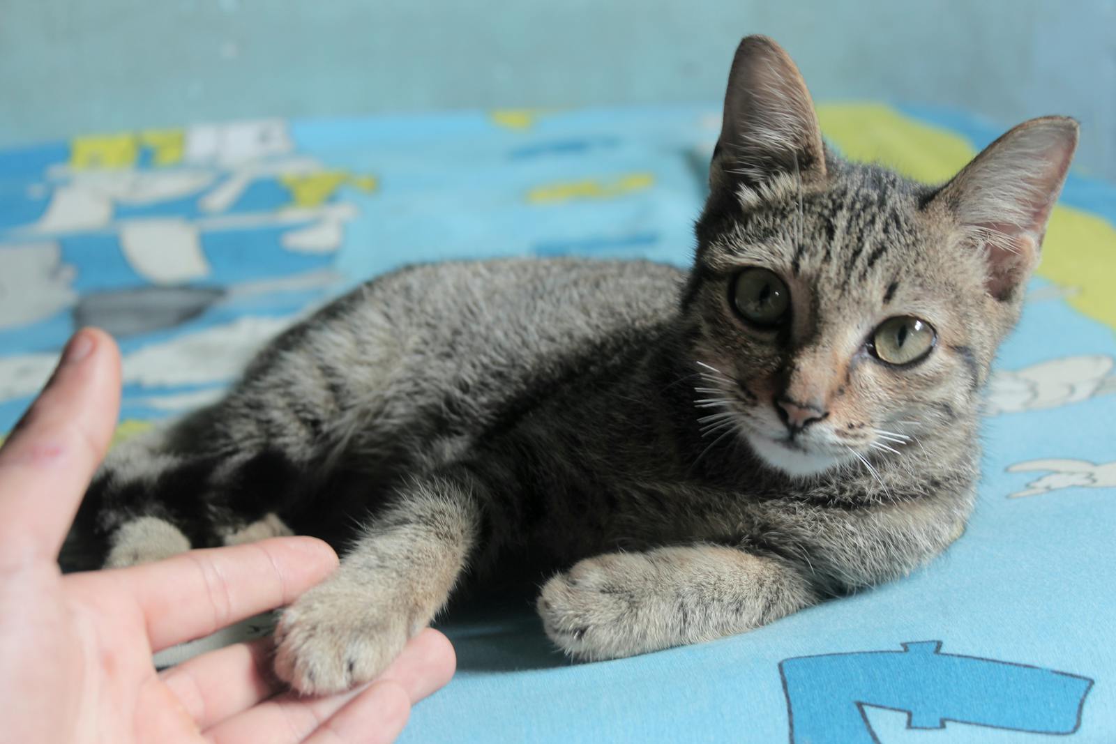 Smart lighting living room