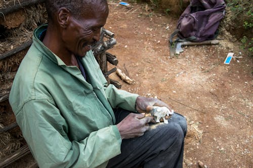 Fotos de stock gratuitas de África, Arte, artesanía