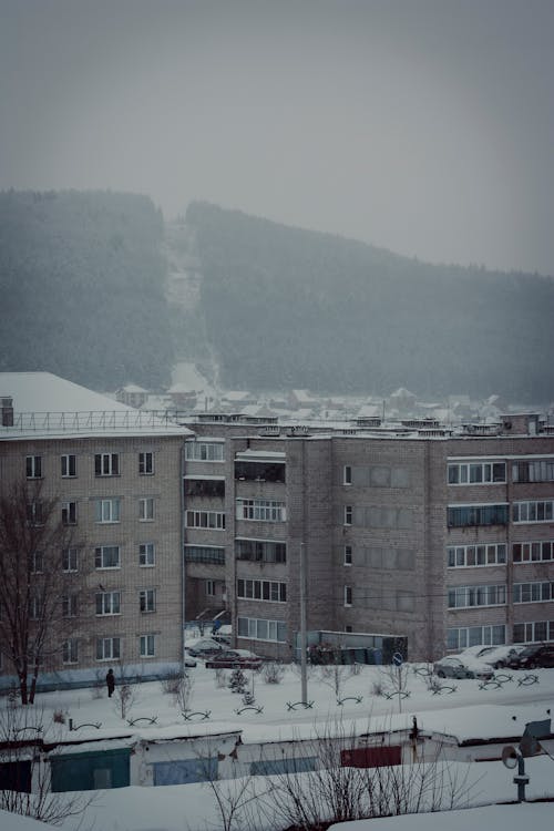 Ilmainen kuvapankkikuva tunnisteilla flunssa, lumi, pystysuuntainen laukaus