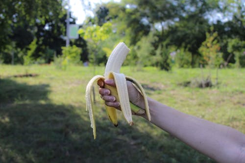 Immagine gratuita di banana, cibo, frutta