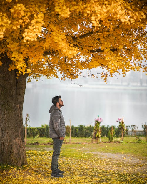 Photo of a Man in a Jacket Standing Under a Tree