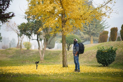 Ücretsiz açık hava, adam, ağaç içeren Ücretsiz stok fotoğraf Stok Fotoğraflar