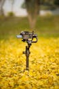Black Camera on Ground Covered With Yellow Leaves