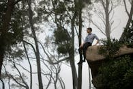 一个人坐在云雾缭绕、树木环绕的森林中的岩石上