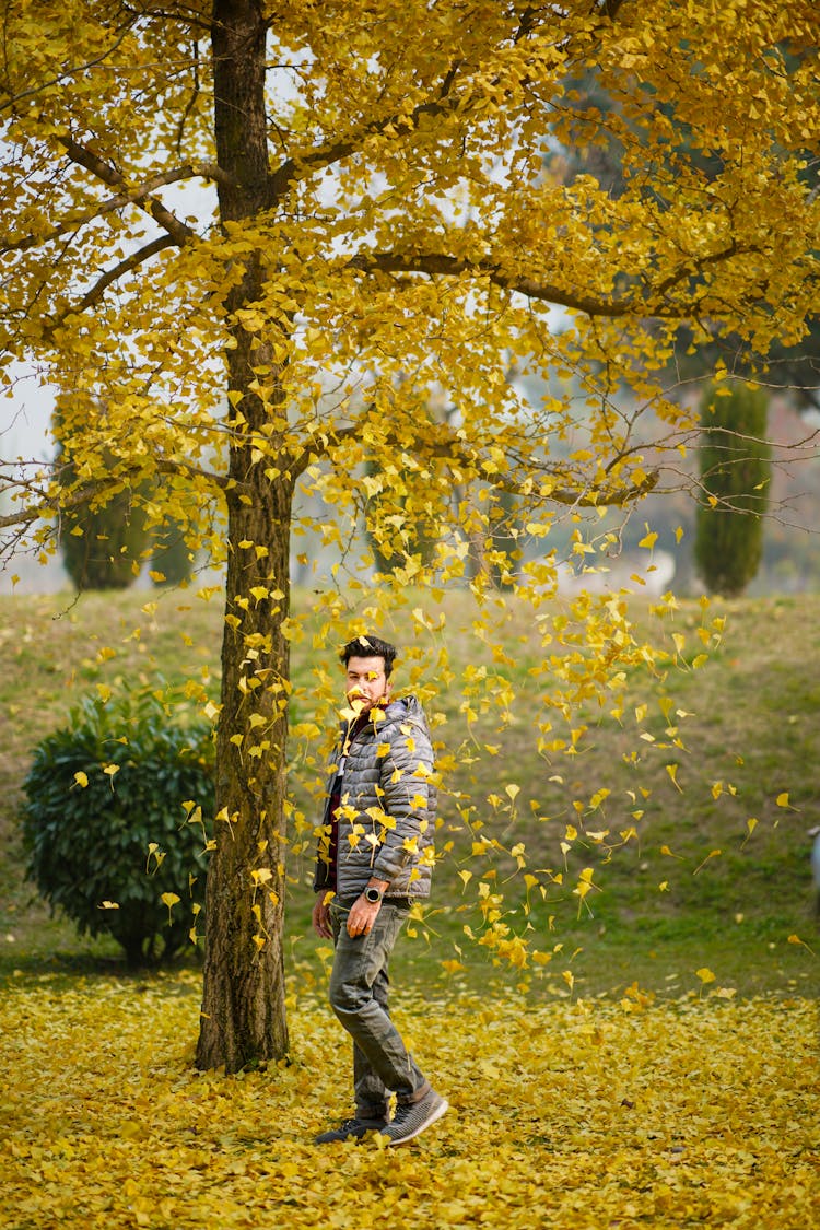 Photo Of Yellow Leaves Falling On A Man