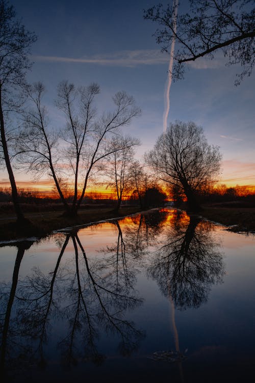 Trees Reflecting in the River at Sunset 