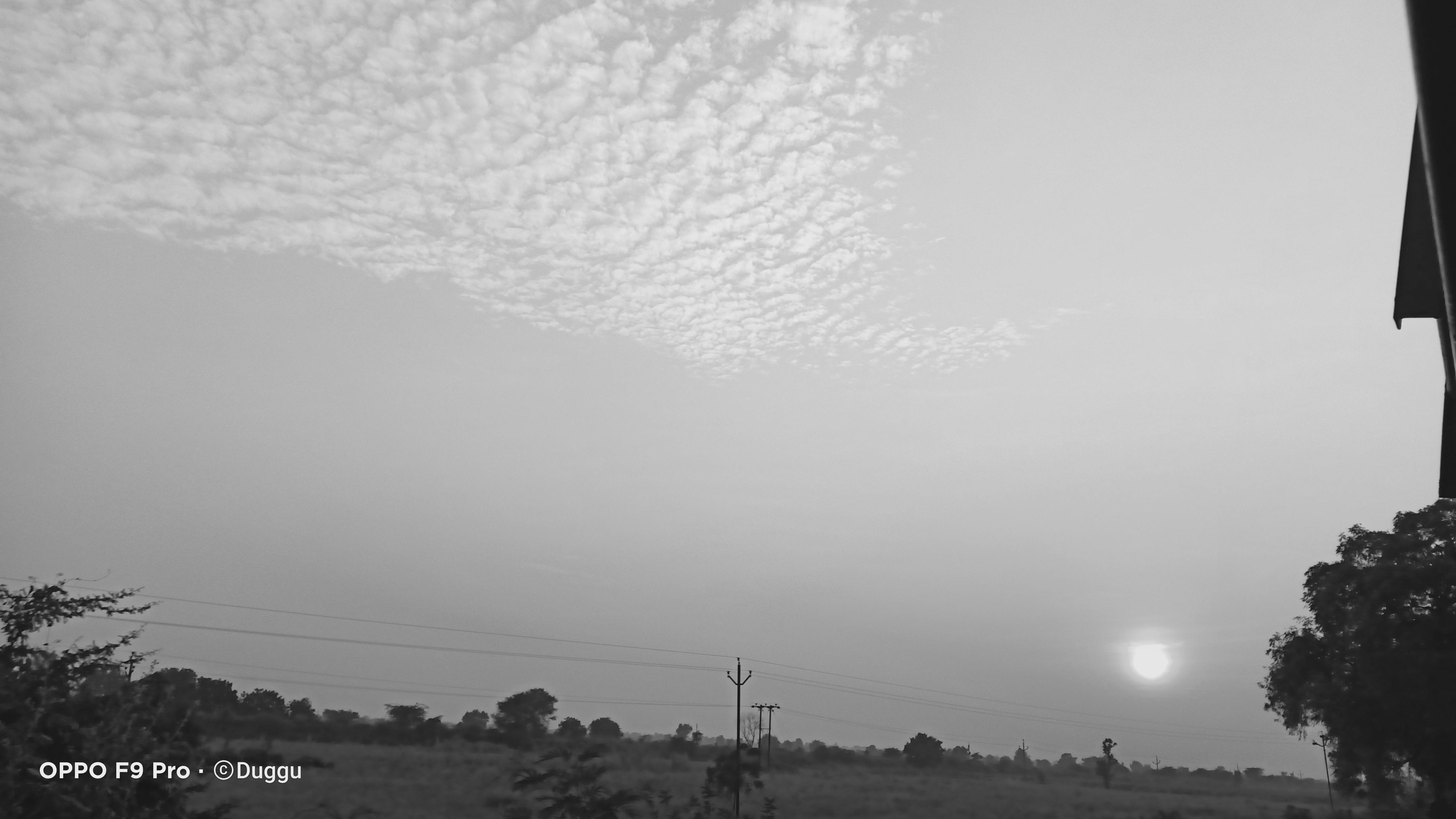 タイの活気あるストリートフード市場